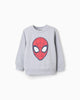 Sudadera Perchada Estampada Spiderman ZY
