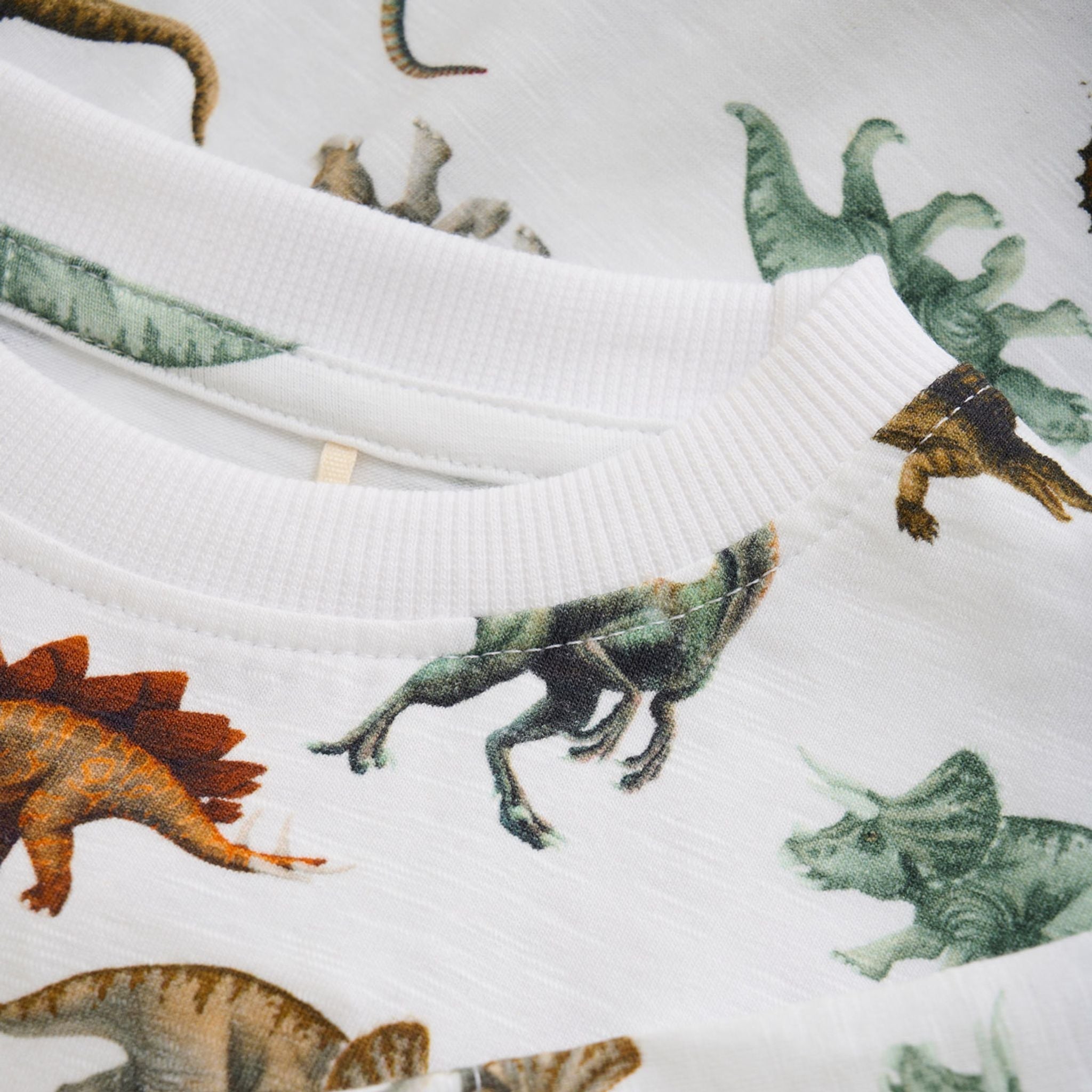 Camiseta Manga Corta Dinos Minymo - Minymo - PetitGegant