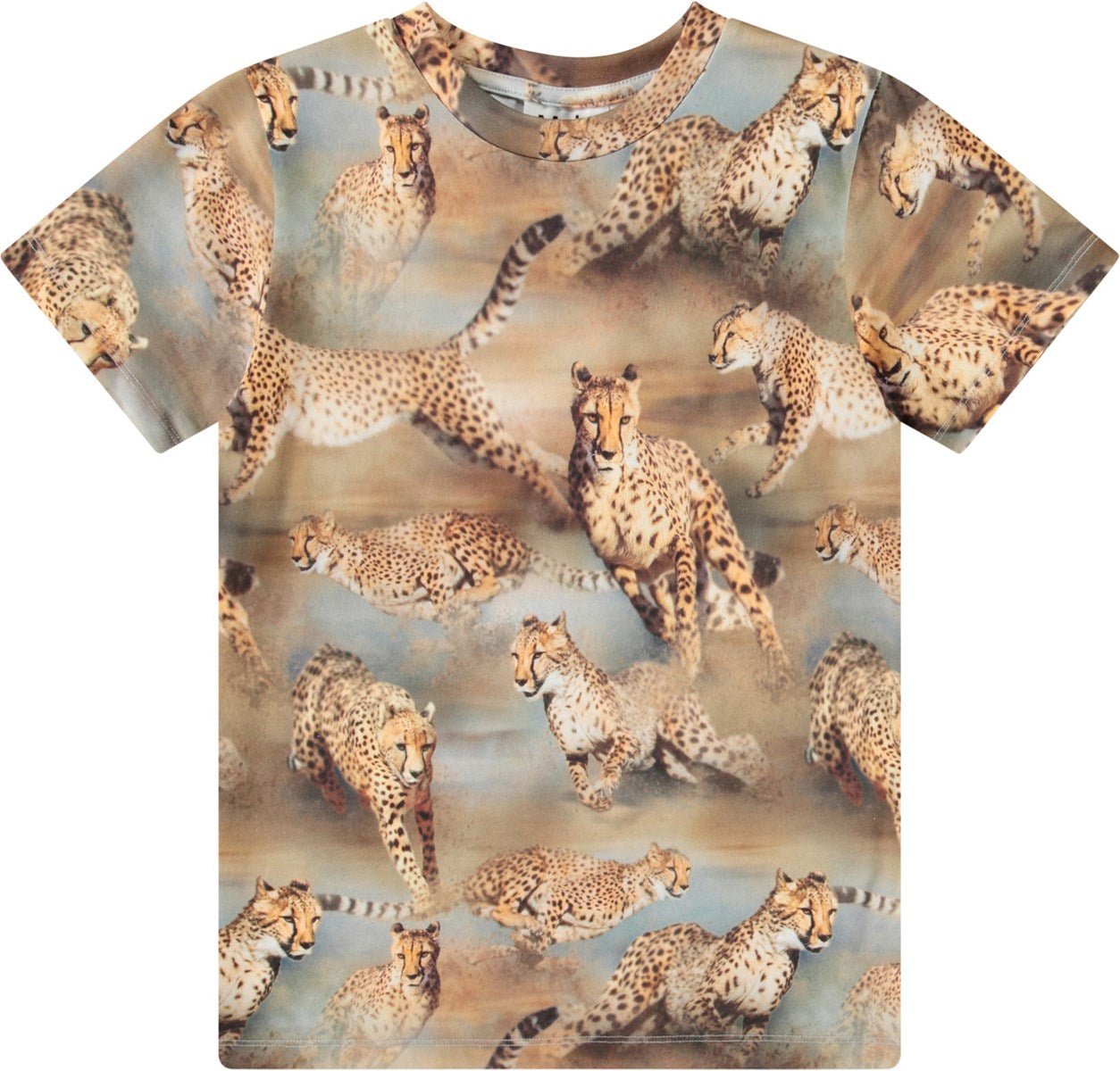 Camiseta Ralphie Fast Cheetahs Molo - molo - PetitGegant