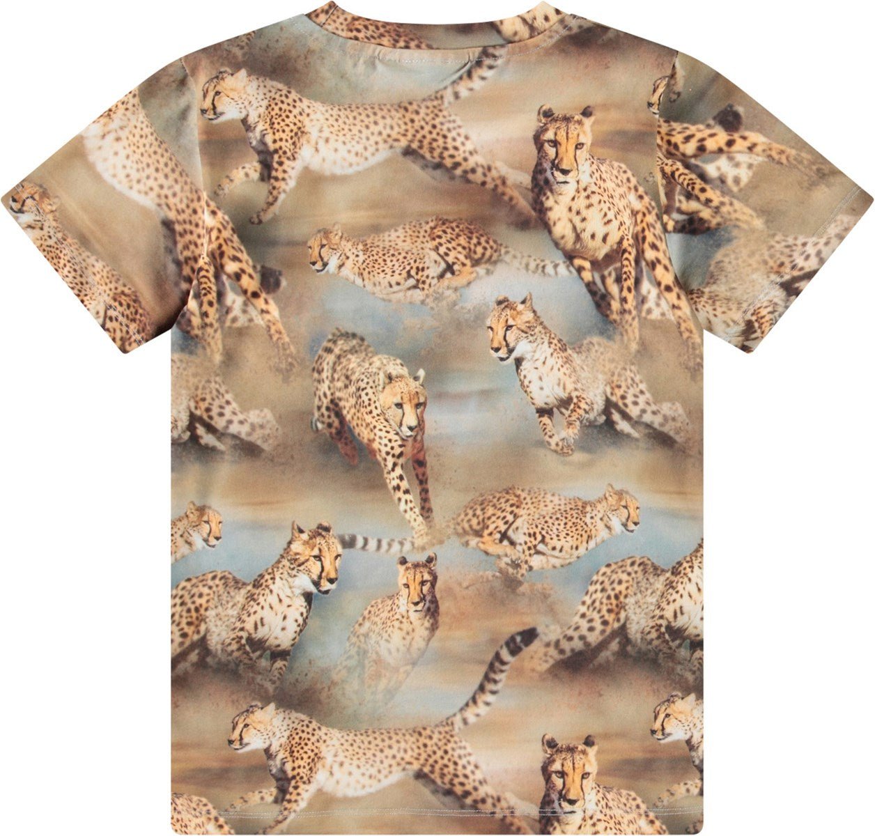 Camiseta Ralphie Fast Cheetahs Molo - molo - PetitGegant