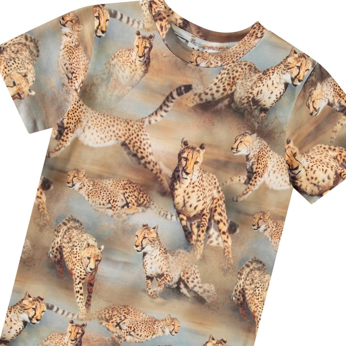 Camiseta Ralphie Fast Cheetahs Molo - molo - PetitGegant