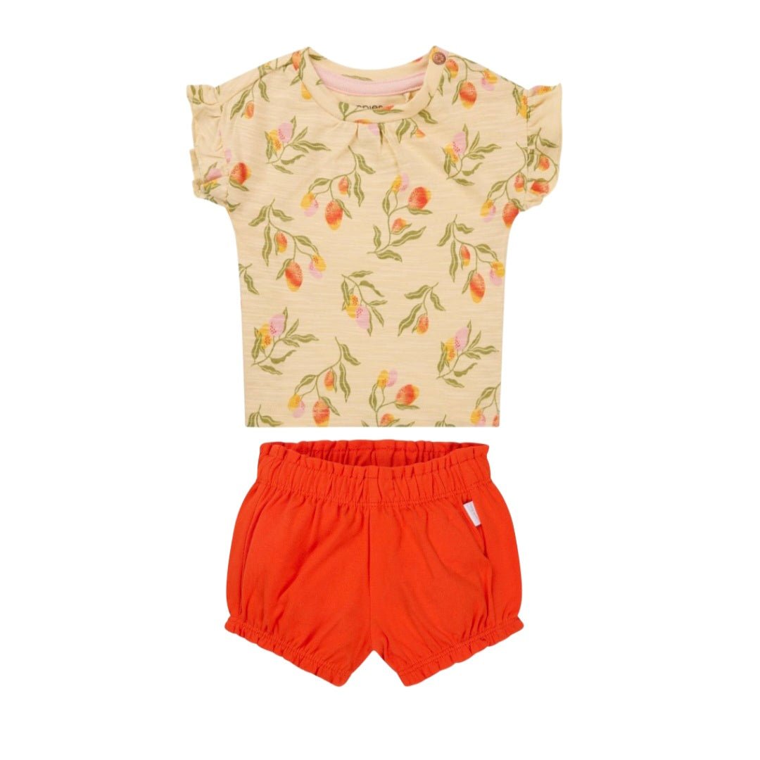 Conjunto Bebé Camiseta+Shorts Spicy Orange Noppies - Noppies - PetitGegant