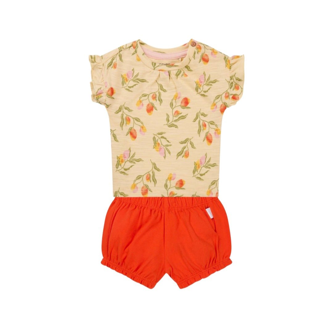 Conjunto Bebé Camiseta+Shorts Spicy Orange Noppies - Noppies - PetitGegant