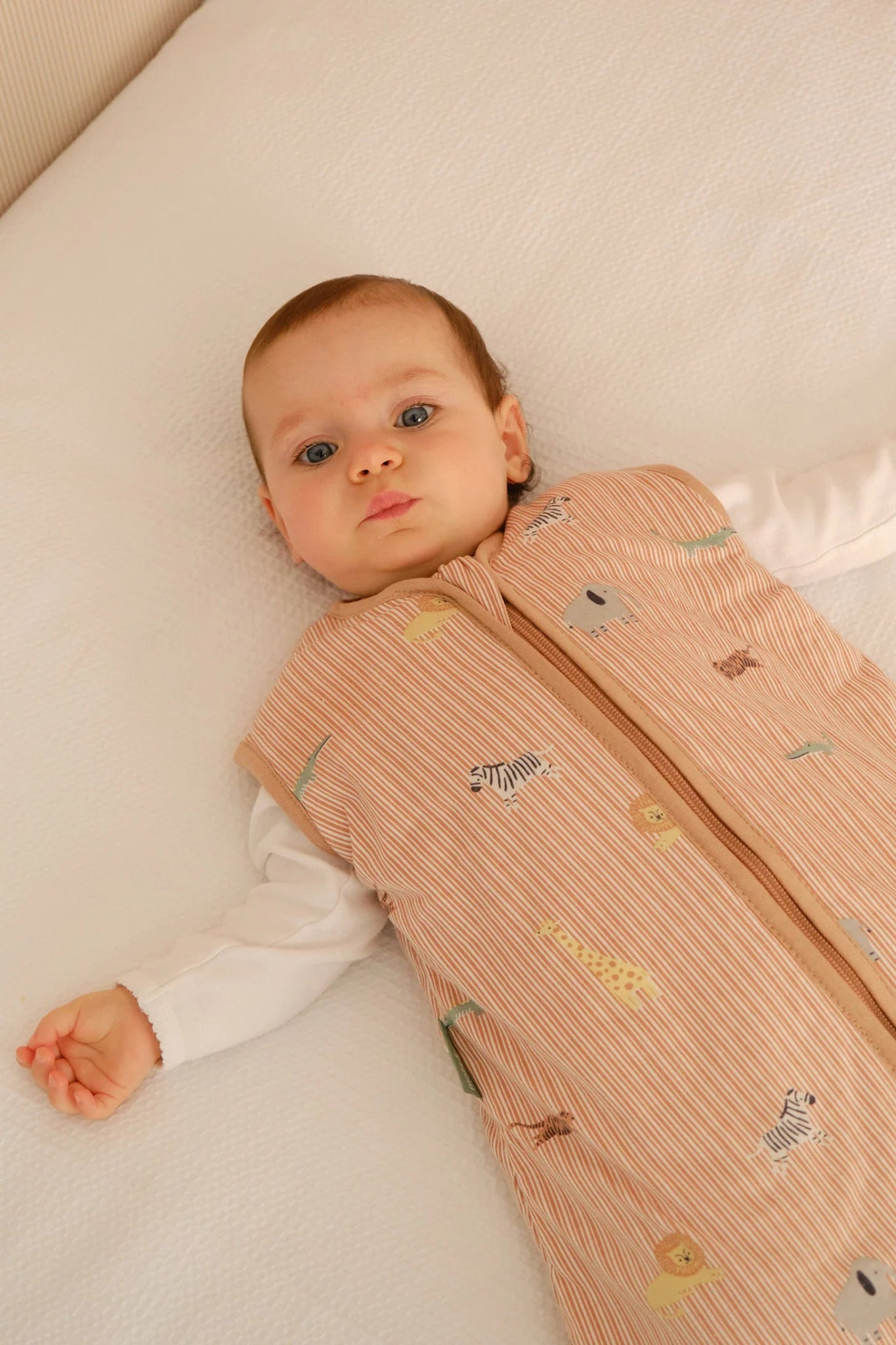 Saco de dormir bebé Jungle TOG 1 Molis & Co - Molis&Co - PetitGegant