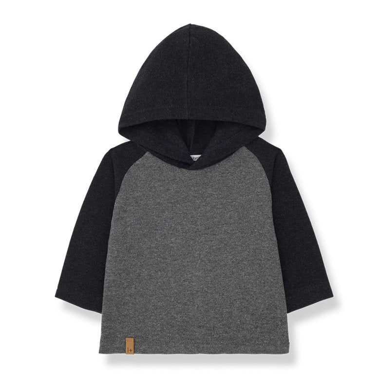 Sudadera capucha Damia Grey 1+in the family - 1+inthefamily - PetitGegant