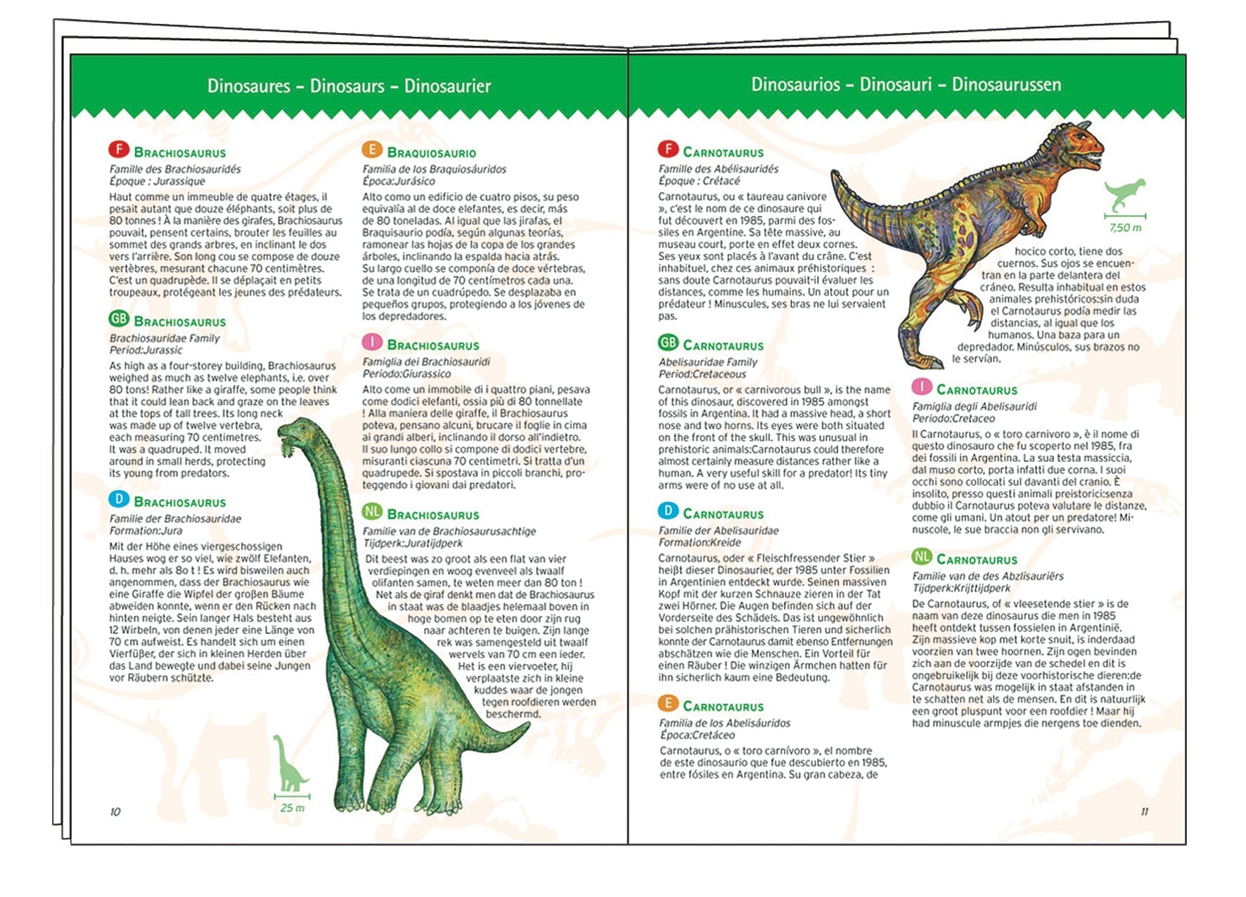 Puzzle de Observación Dinosaurios Djeco-Djeco-PetitGegant